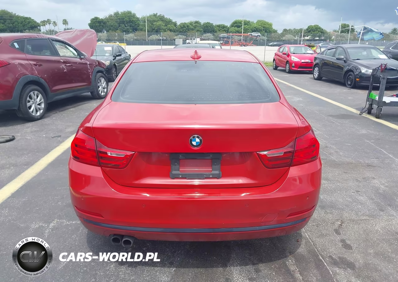 2016 BMW 428I VIN:WBA3N7C54GK227167 - 17