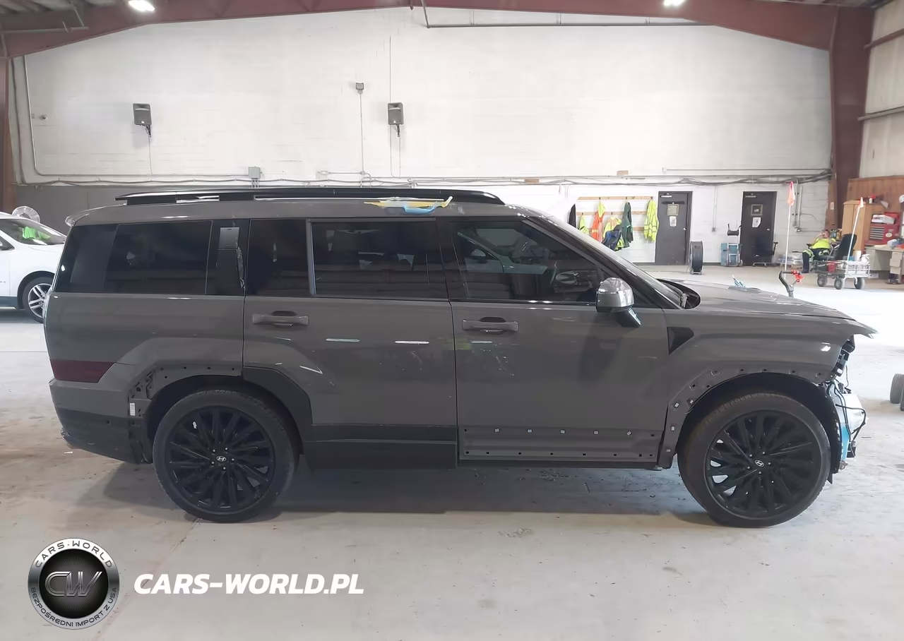 2024 Hyundai Santa Fe Calligraphy VIN:5NMP5DGL6RH058554 - 13