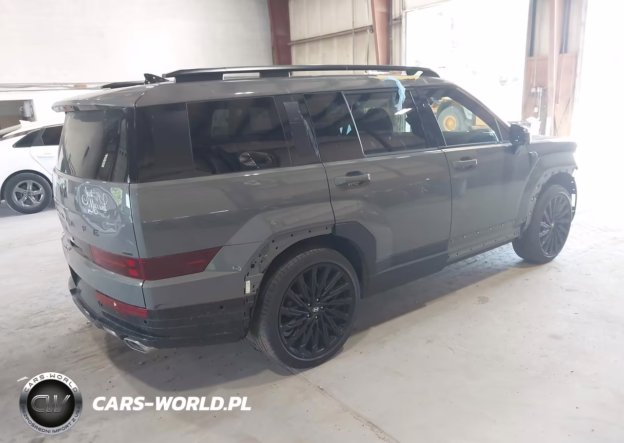 2024 Hyundai Santa Fe Calligraphy VIN:5NMP5DGL6RH058554 - 4