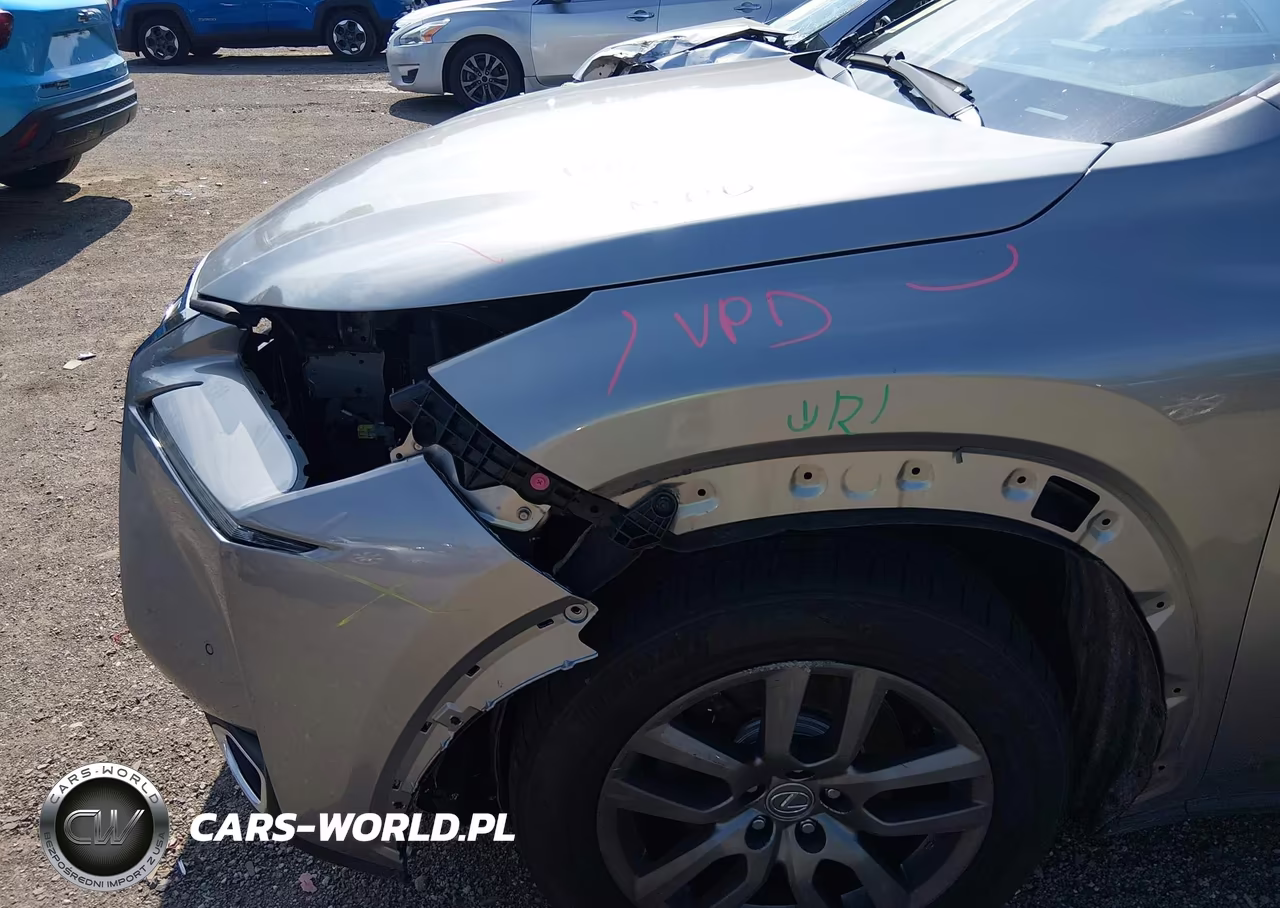 2016 Lexus Nx 200T VIN:JTJBARBZ0G2094933 - 20