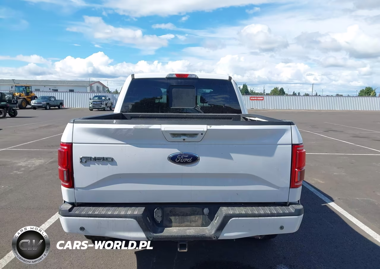 2015 Ford F-150 King Ranch-Lariat-Platinum-Xl-Xlt VIN:1FTEW1EG4FKE05291 - 16