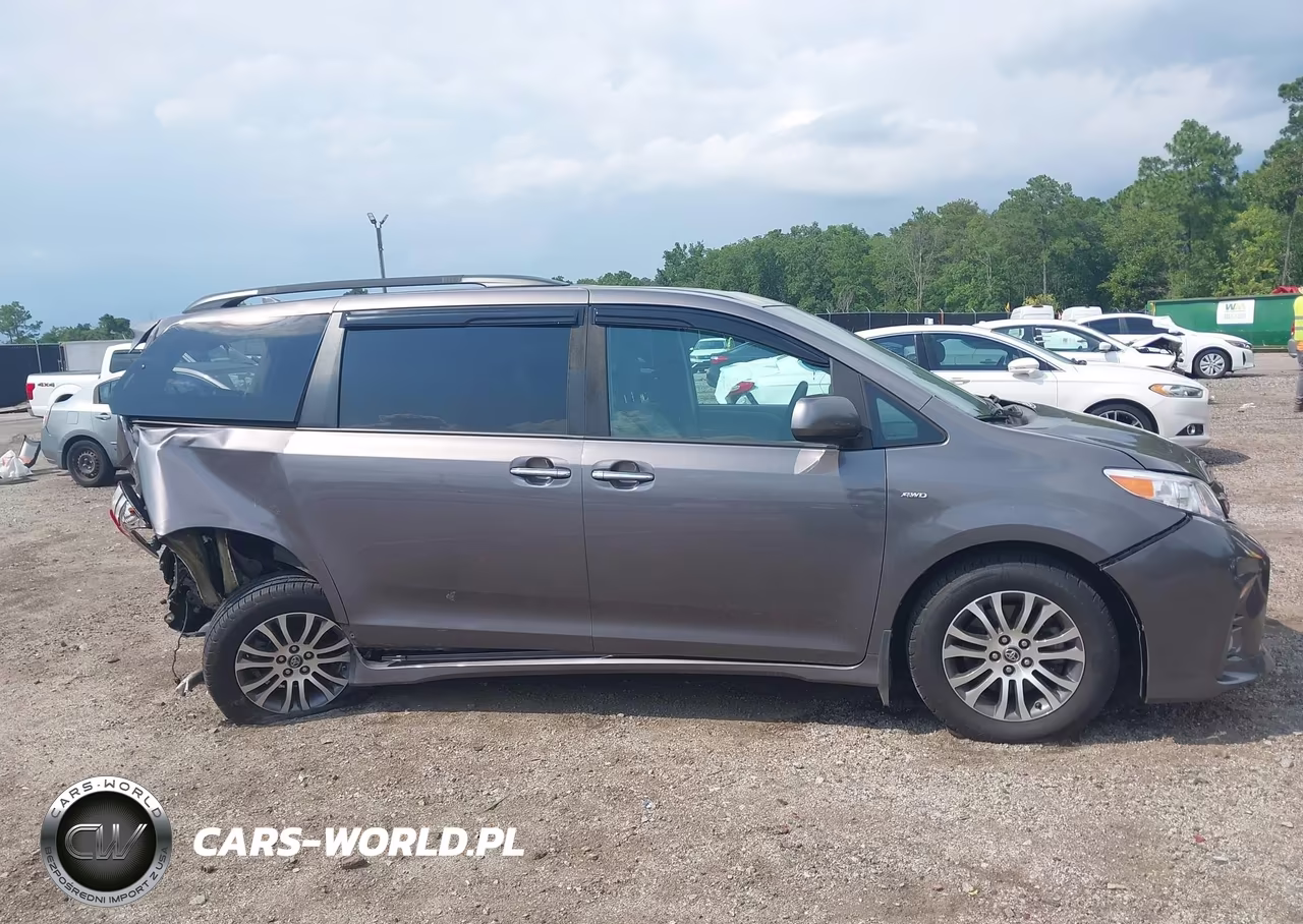 2019 Toyota Sienna Xle 8 Passenger VIN:5TDYZ3DC7KS999571 - 13