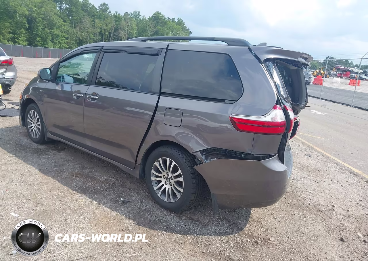 2019 Toyota Sienna Xle 8 Passenger VIN:5TDYZ3DC7KS999571 - 3