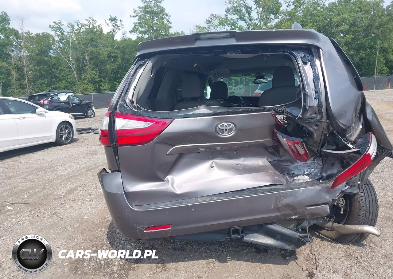 2019 Toyota Sienna Xle 8 Passenger VIN:5TDYZ3DC7KS999571 - 6