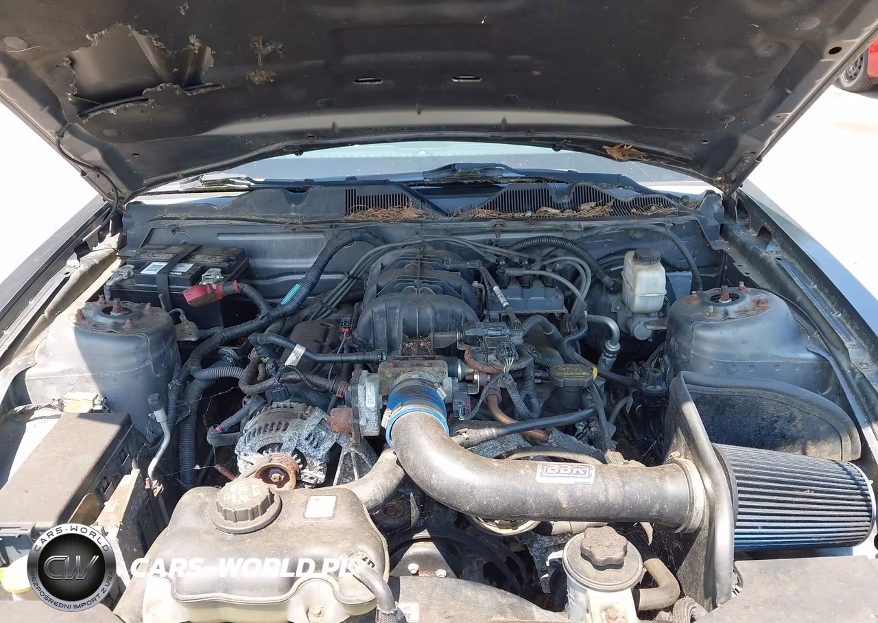 2010 Ford Mustang V6-V6 Premium VIN:1ZVBP8AN0A5137650 - 10