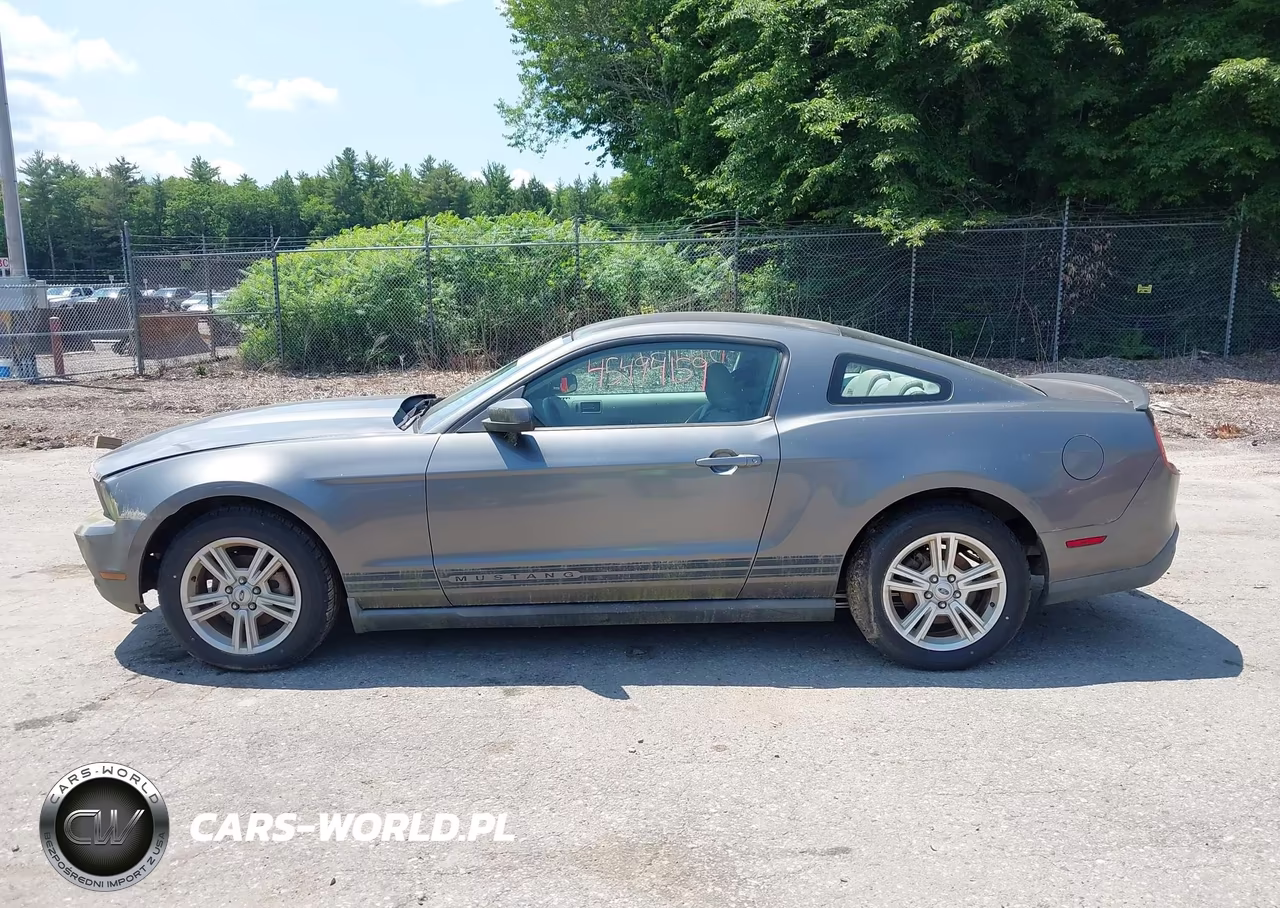2010 Ford Mustang V6-V6 Premium VIN:1ZVBP8AN0A5137650 - 12