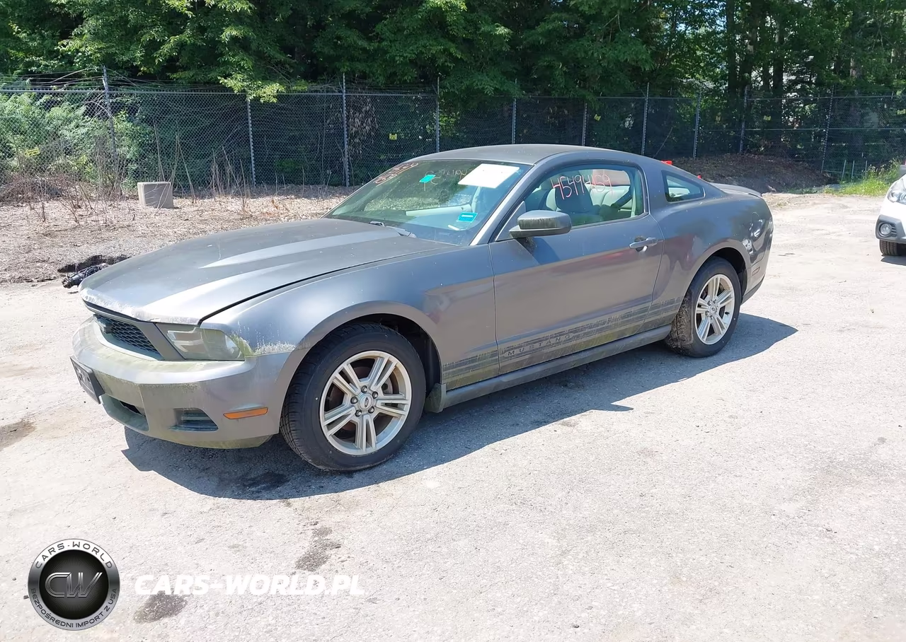 2010 Ford Mustang V6-V6 Premium VIN:1ZVBP8AN0A5137650 - 2