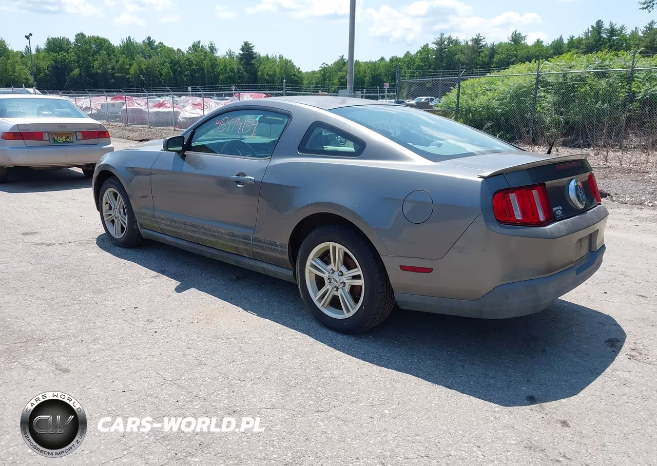 2010 Ford Mustang V6-V6 Premium VIN:1ZVBP8AN0A5137650 - 3
