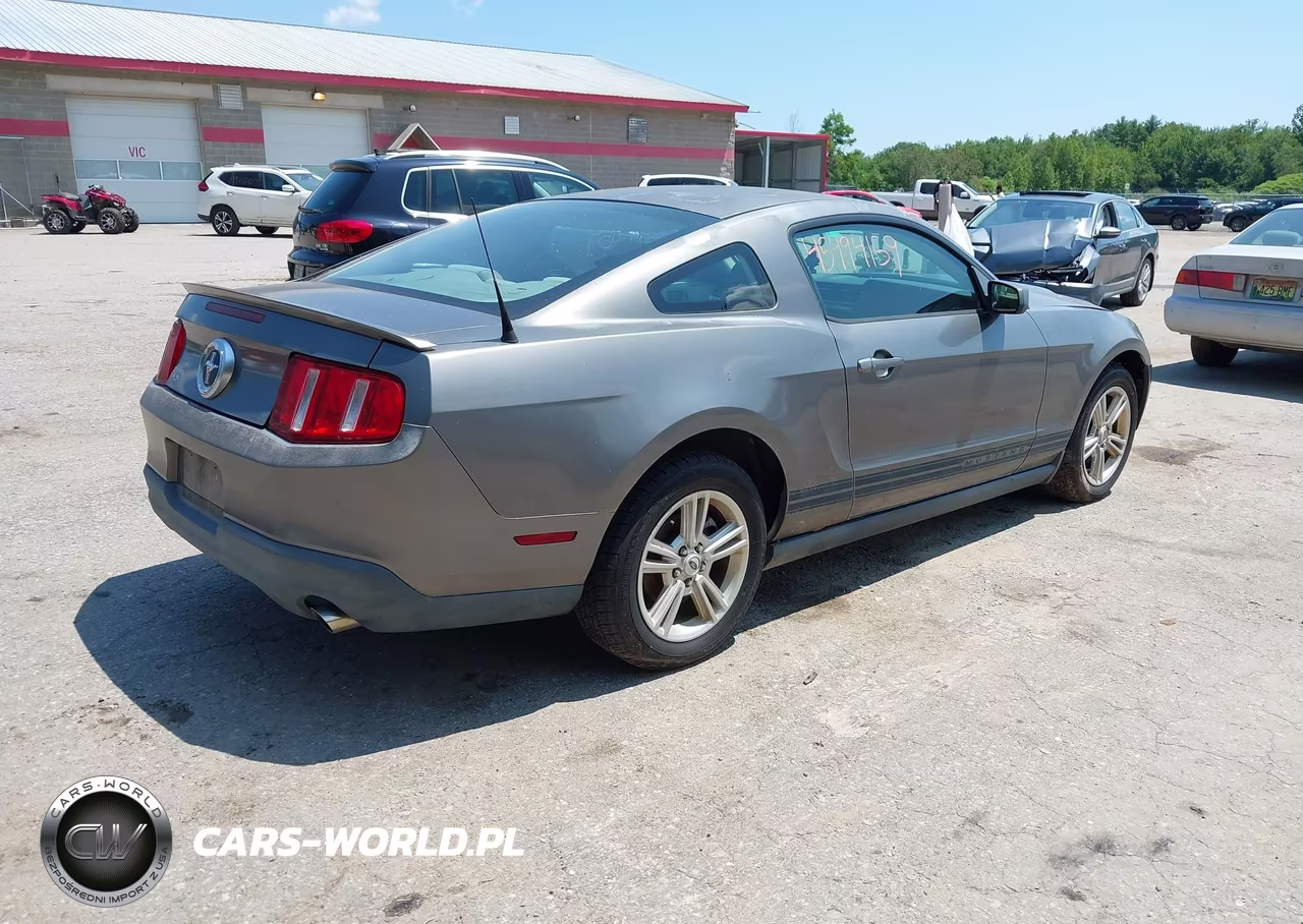 2010 Ford Mustang V6-V6 Premium VIN:1ZVBP8AN0A5137650 - 4