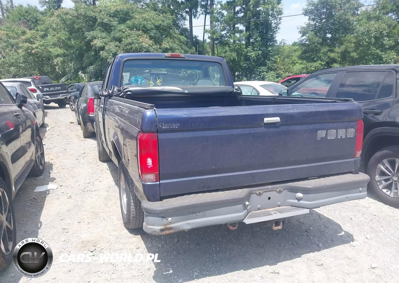 1995 Ford F150 VIN:1FTDF15Y3SNA11679 - 3
