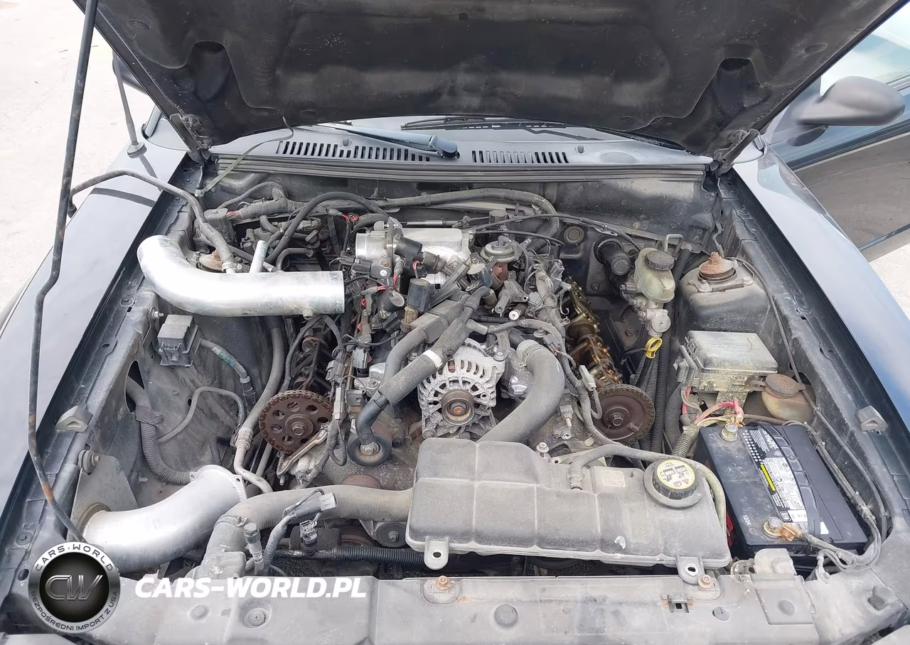 2003 Ford Mustang Gt VIN:1FAFP42XX3F406138 - 10