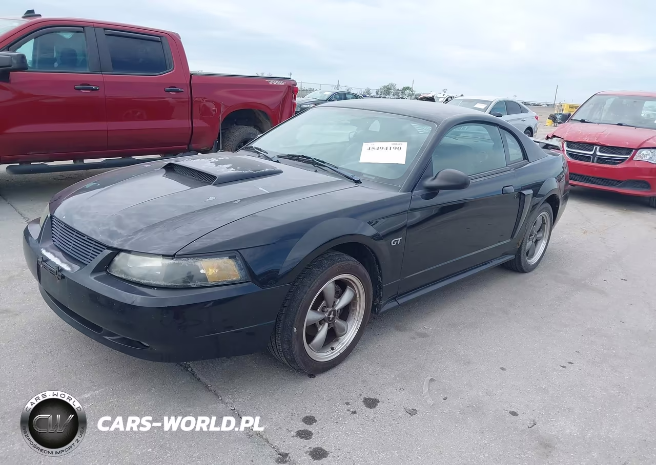 2003 Ford Mustang Gt VIN:1FAFP42XX3F406138 - 2