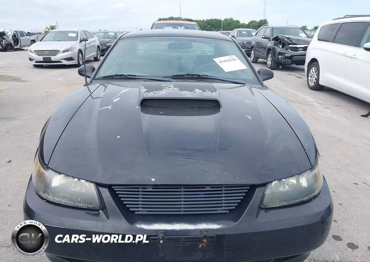 2003 Ford Mustang Gt VIN:1FAFP42XX3F406138 - 6