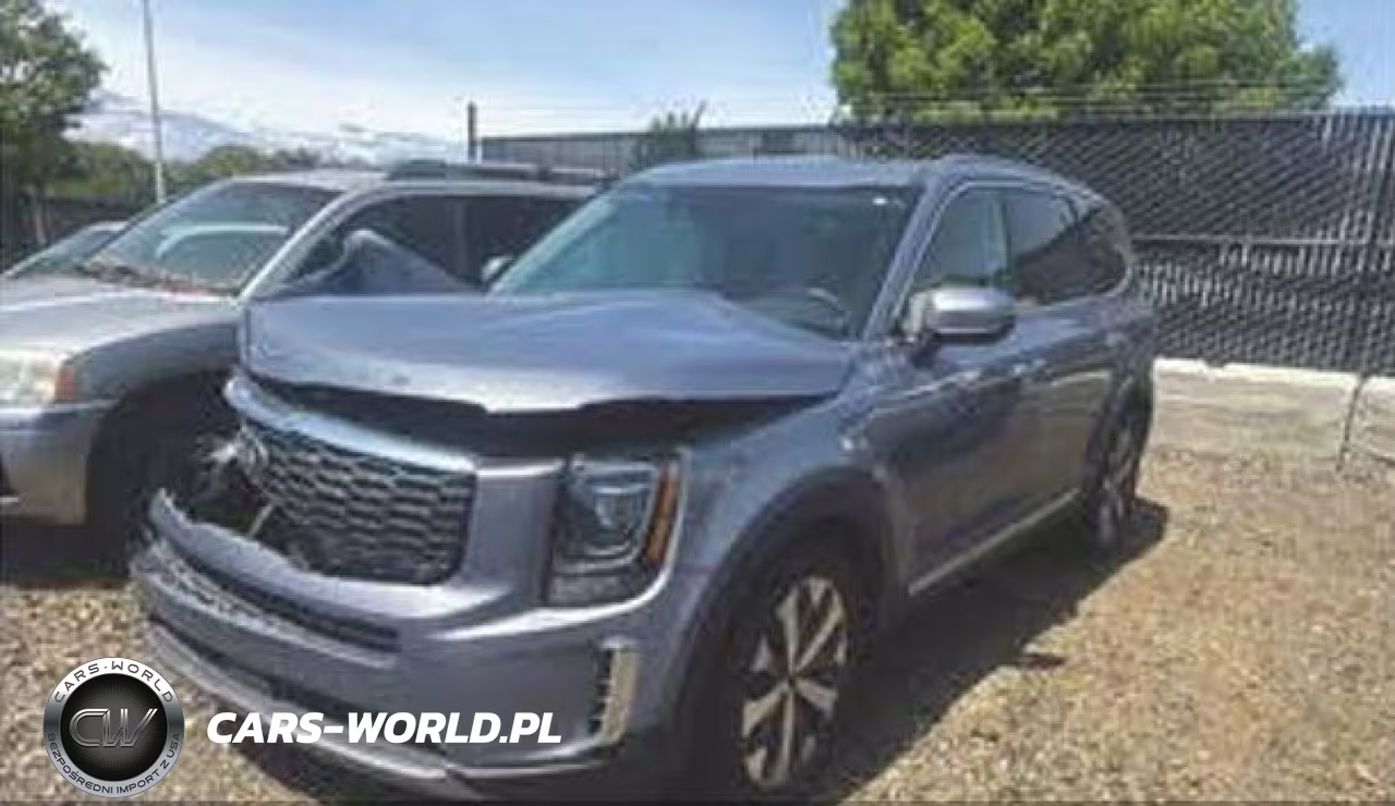 2021 Kia Telluride S VIN:5XYP6DHC4MG120158 - 2
