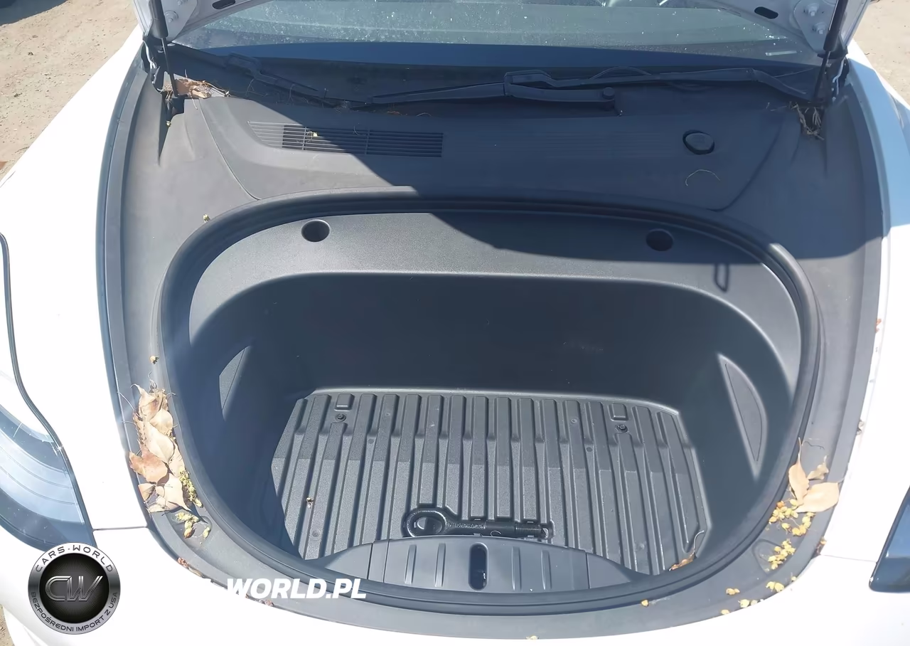 2020 Tesla Model 3 Standard Range Plus Rear-Wheel Drive-Standard Range Rear-Wheel Drive VIN:5YJ3E1EA7LF803920 - 10