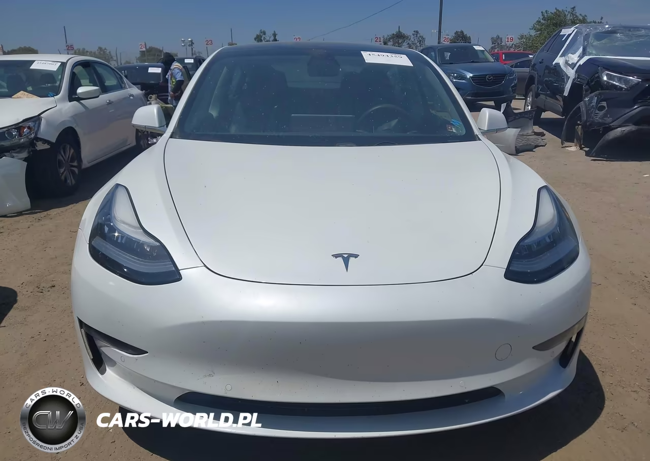 2020 Tesla Model 3 Standard Range Plus Rear-Wheel Drive-Standard Range Rear-Wheel Drive VIN:5YJ3E1EA7LF803920 - 13