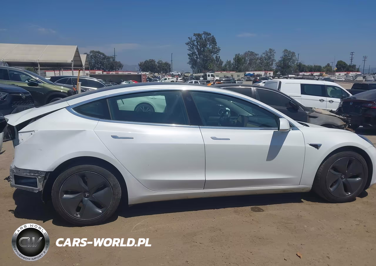 2020 Tesla Model 3 Standard Range Plus Rear-Wheel Drive-Standard Range Rear-Wheel Drive VIN:5YJ3E1EA7LF803920 - 14