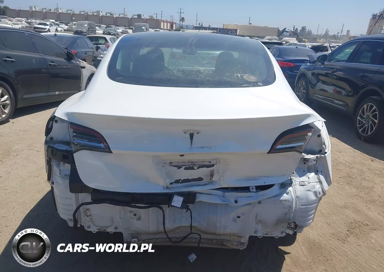 2020 Tesla Model 3 Standard Range Plus Rear-Wheel Drive-Standard Range Rear-Wheel Drive VIN:5YJ3E1EA7LF803920 - 17