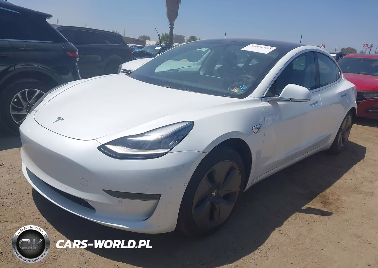 2020 Tesla Model 3 Standard Range Plus Rear-Wheel Drive-Standard Range Rear-Wheel Drive VIN:5YJ3E1EA7LF803920 - 2