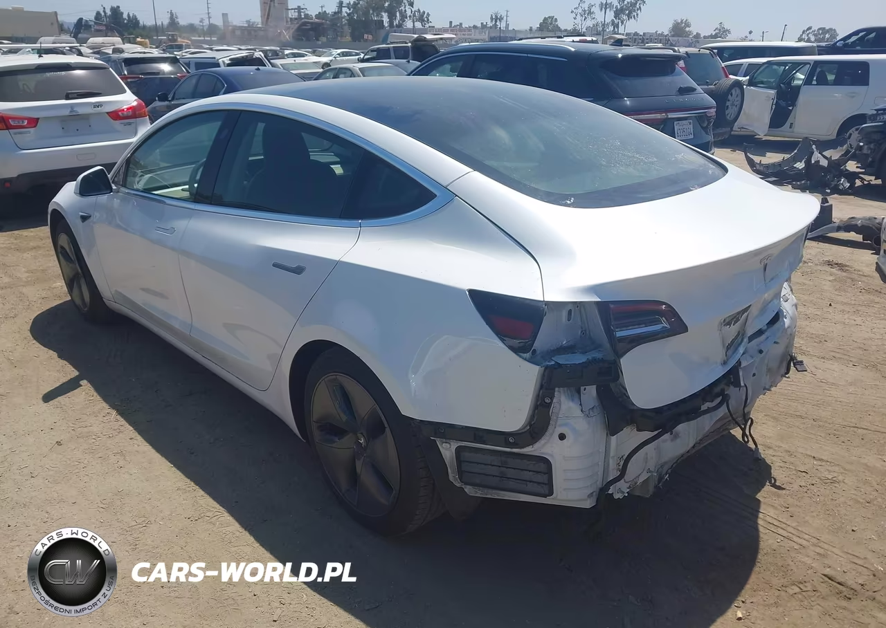 2020 Tesla Model 3 Standard Range Plus Rear-Wheel Drive-Standard Range Rear-Wheel Drive VIN:5YJ3E1EA7LF803920 - 3