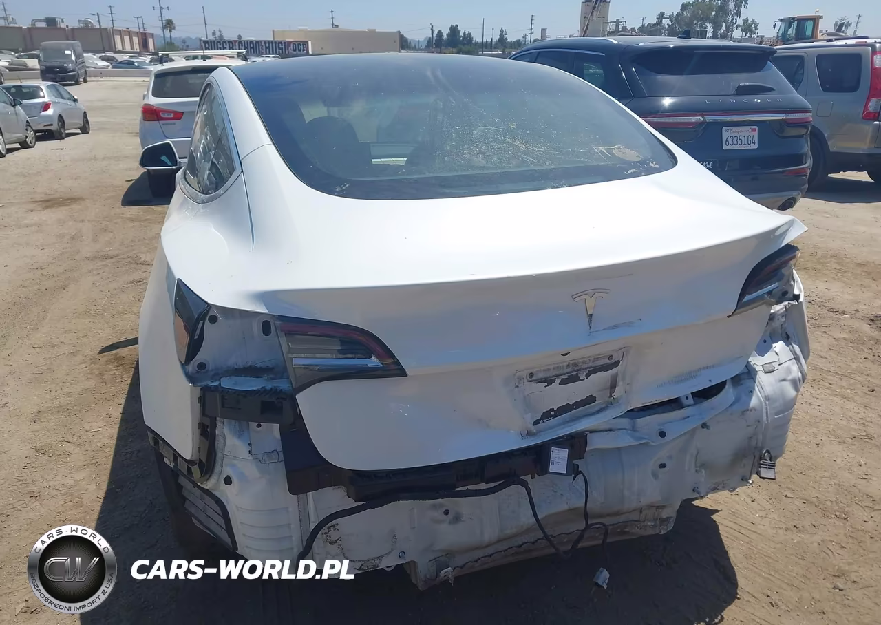 2020 Tesla Model 3 Standard Range Plus Rear-Wheel Drive-Standard Range Rear-Wheel Drive VIN:5YJ3E1EA7LF803920 - 6