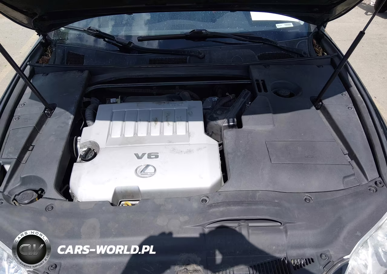2009 Lexus Es 350 VIN:JTHBJ46G192335270 - 10