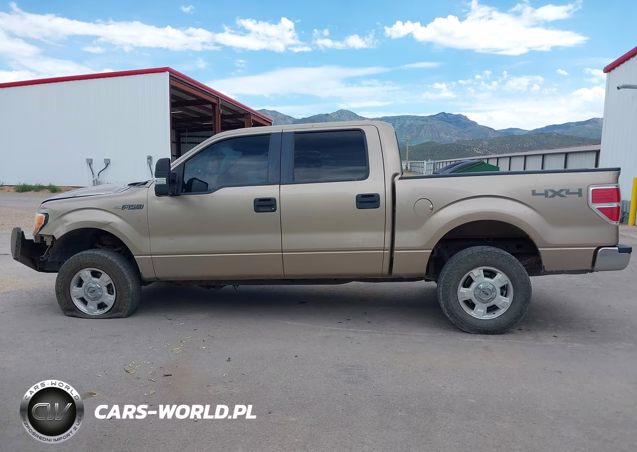 2013 Ford F-150 Fx4-King Ranch-Lariat-Platinum-Xl-Xlt VIN:1FTFW1EF6DKE12865 - 15
