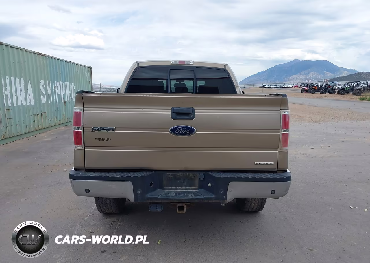 2013 Ford F-150 Fx4-King Ranch-Lariat-Platinum-Xl-Xlt VIN:1FTFW1EF6DKE12865 - 17