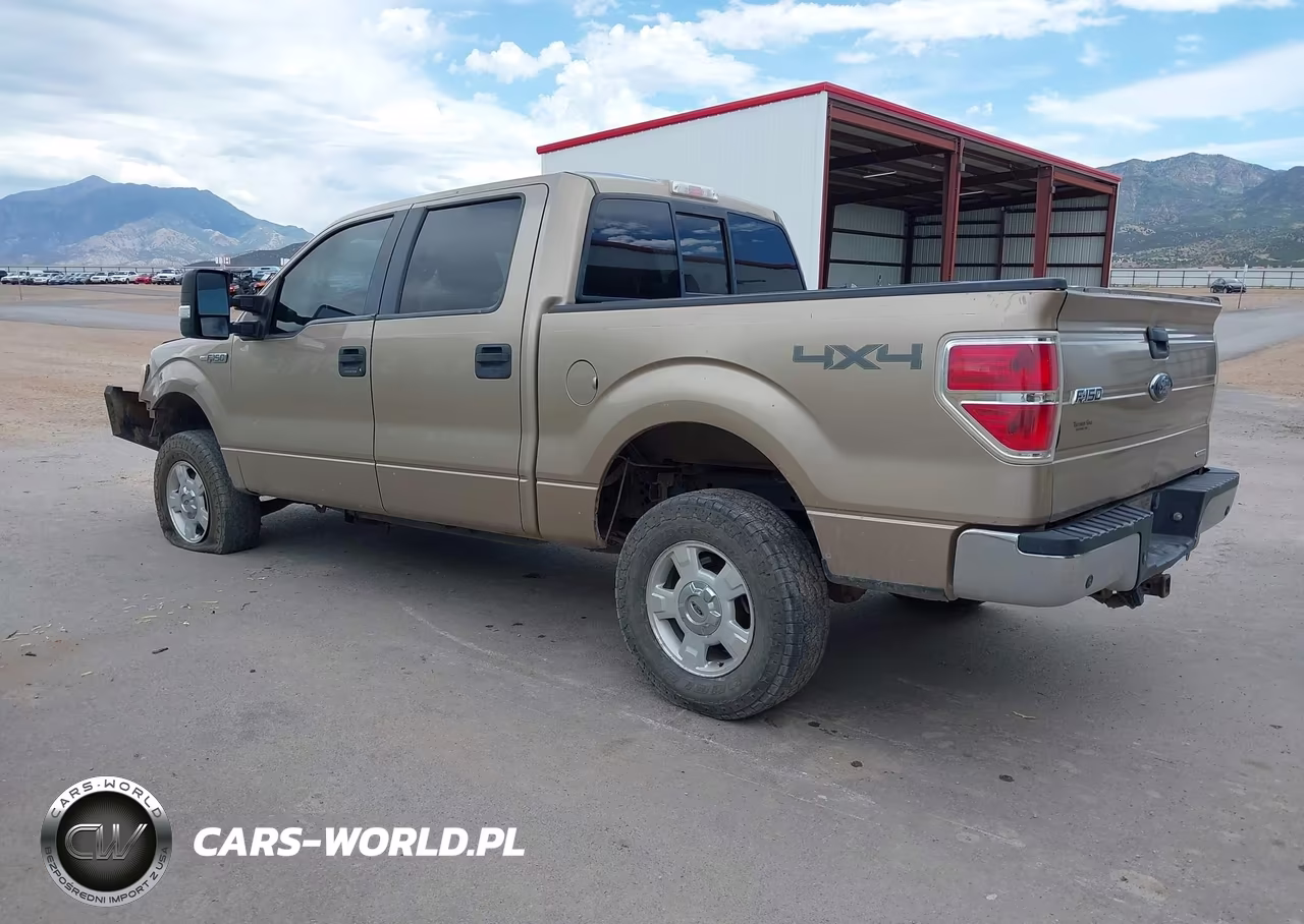 2013 Ford F-150 Fx4-King Ranch-Lariat-Platinum-Xl-Xlt VIN:1FTFW1EF6DKE12865 - 3