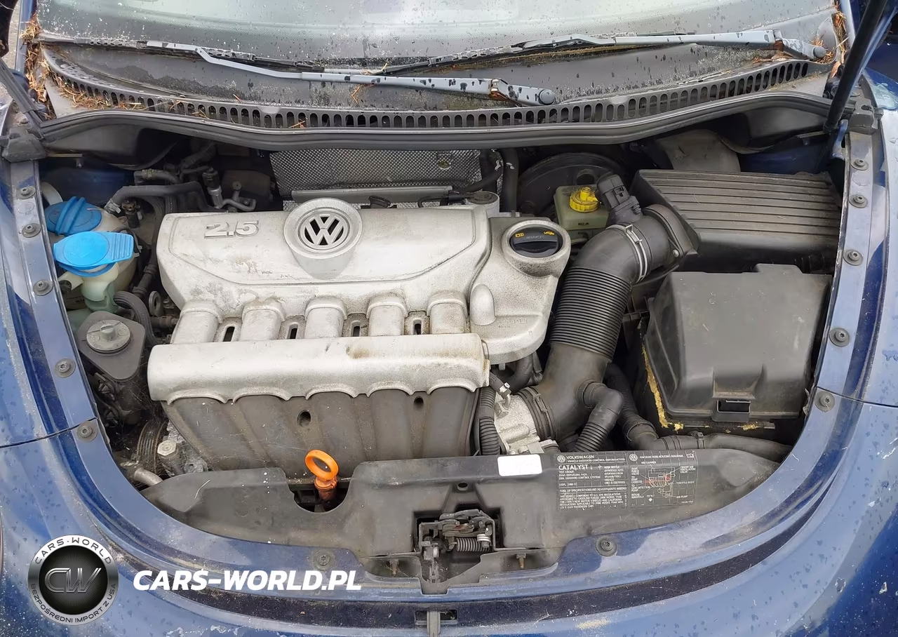 2006 Volkswagen New Beetle 2.5 VIN:3VWRW31C16M424046 - 10