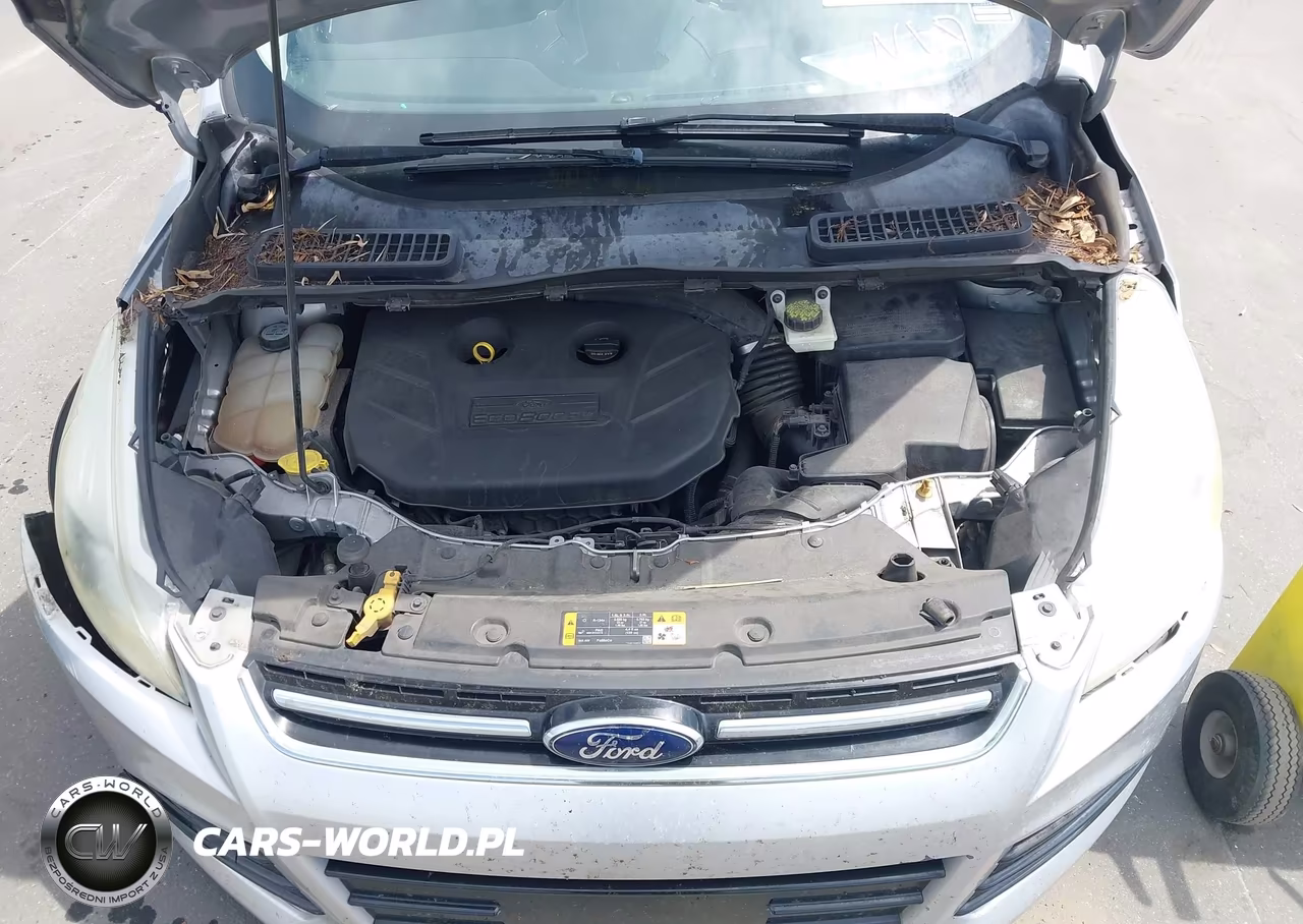 2013 Ford Escape Sel VIN:1FMCU0H92DUC79904 - 10