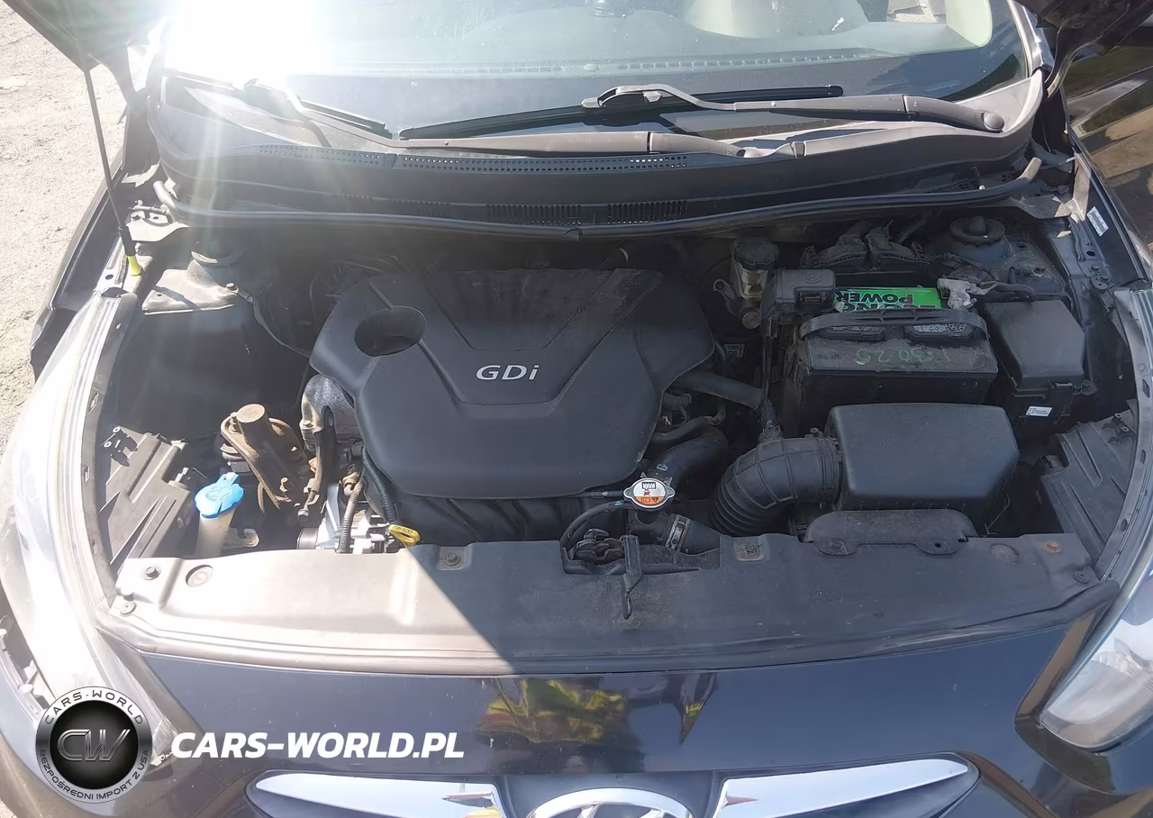 2014 Hyundai Accent Gs VIN:KMHCT5AE5EU194001 - 10