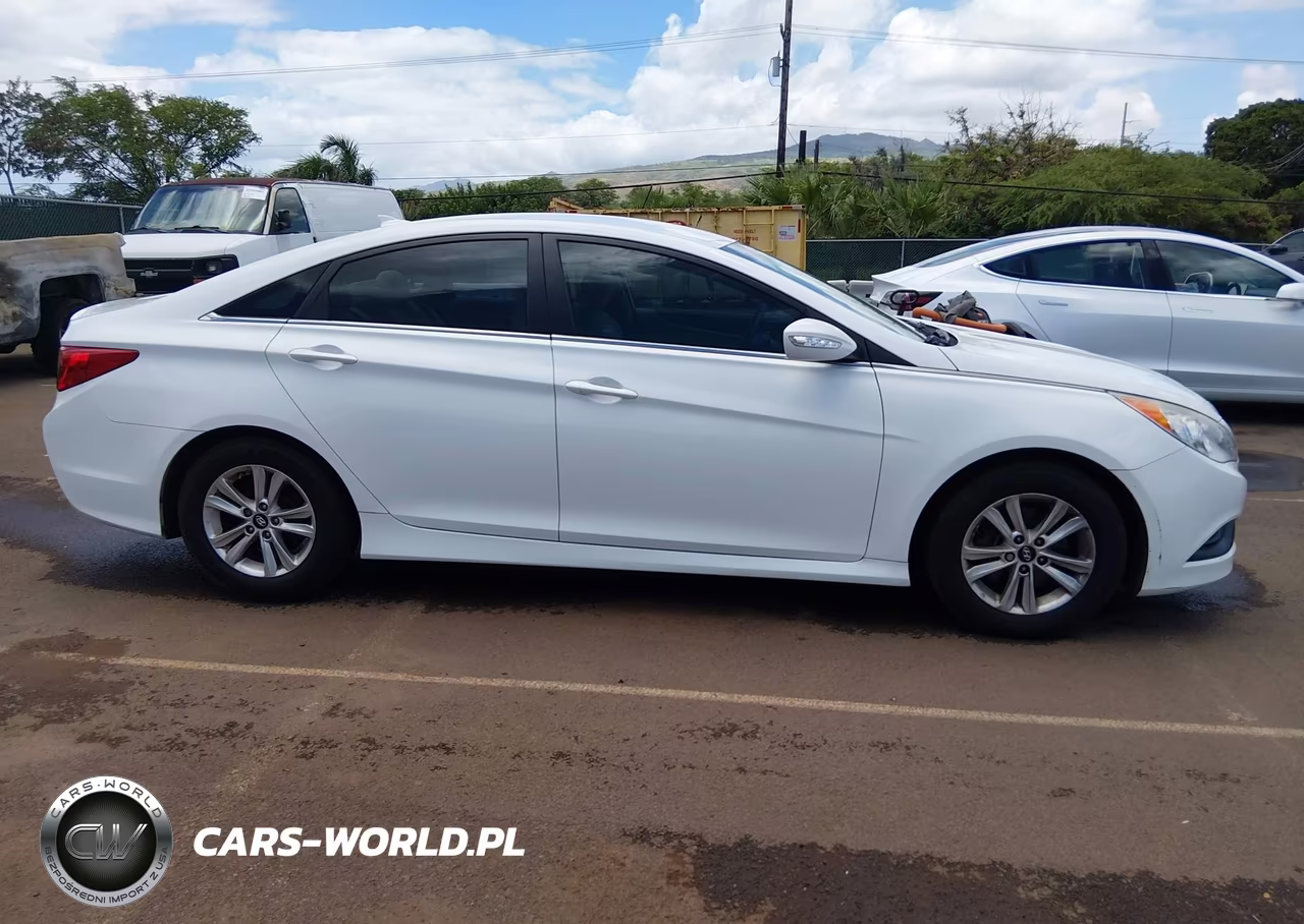 2014 Hyundai Sonata Gls VIN:5NPEB4AC4EH934270 - 14