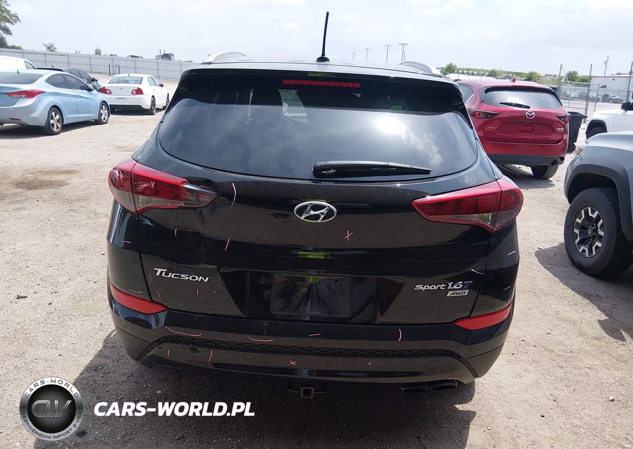 2016 Hyundai Tucson Sport VIN:KM8J3CA25GU161262 - 17