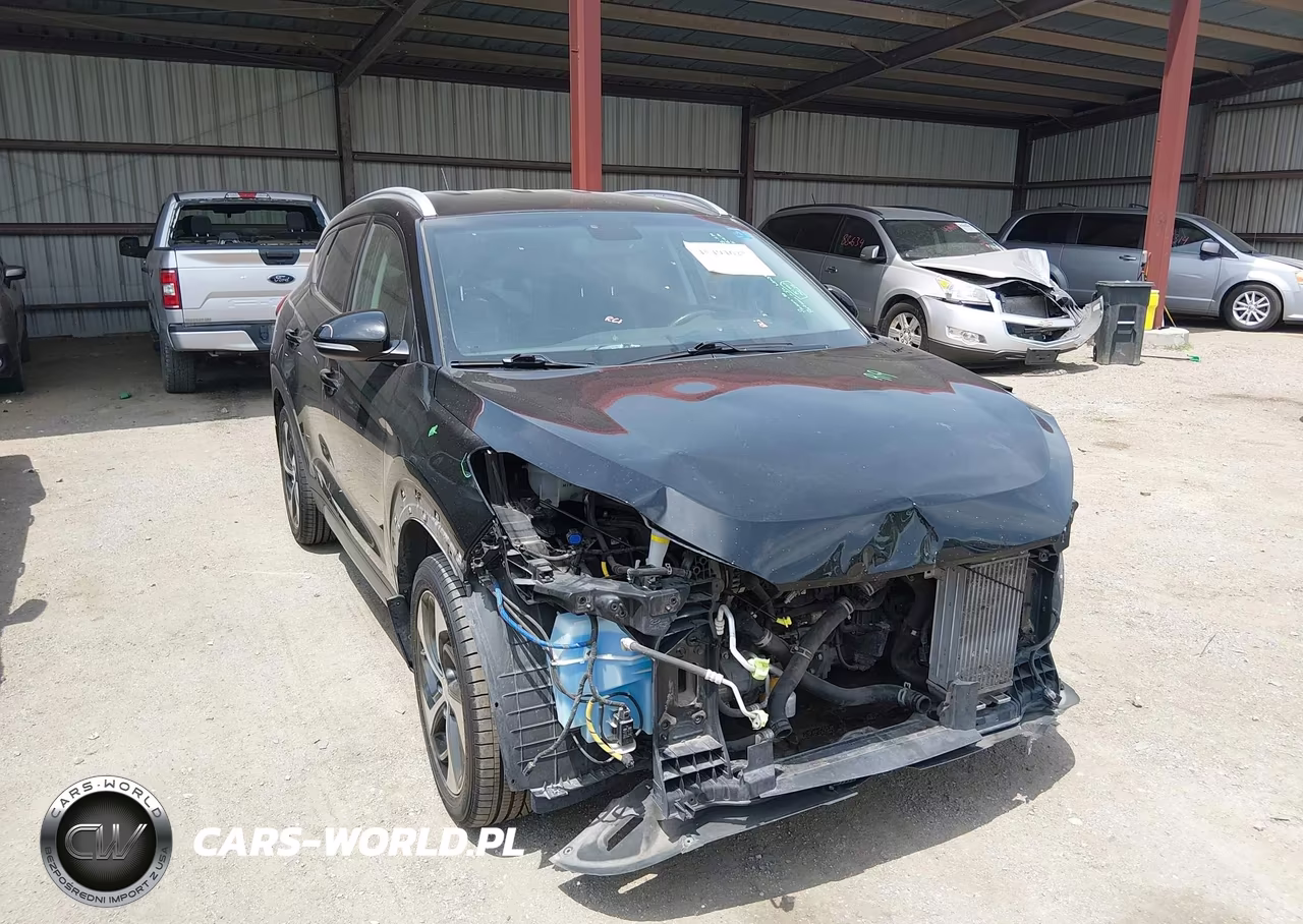 2016 Hyundai Tucson Sport VIN:KM8J3CA25GU161262 - 19