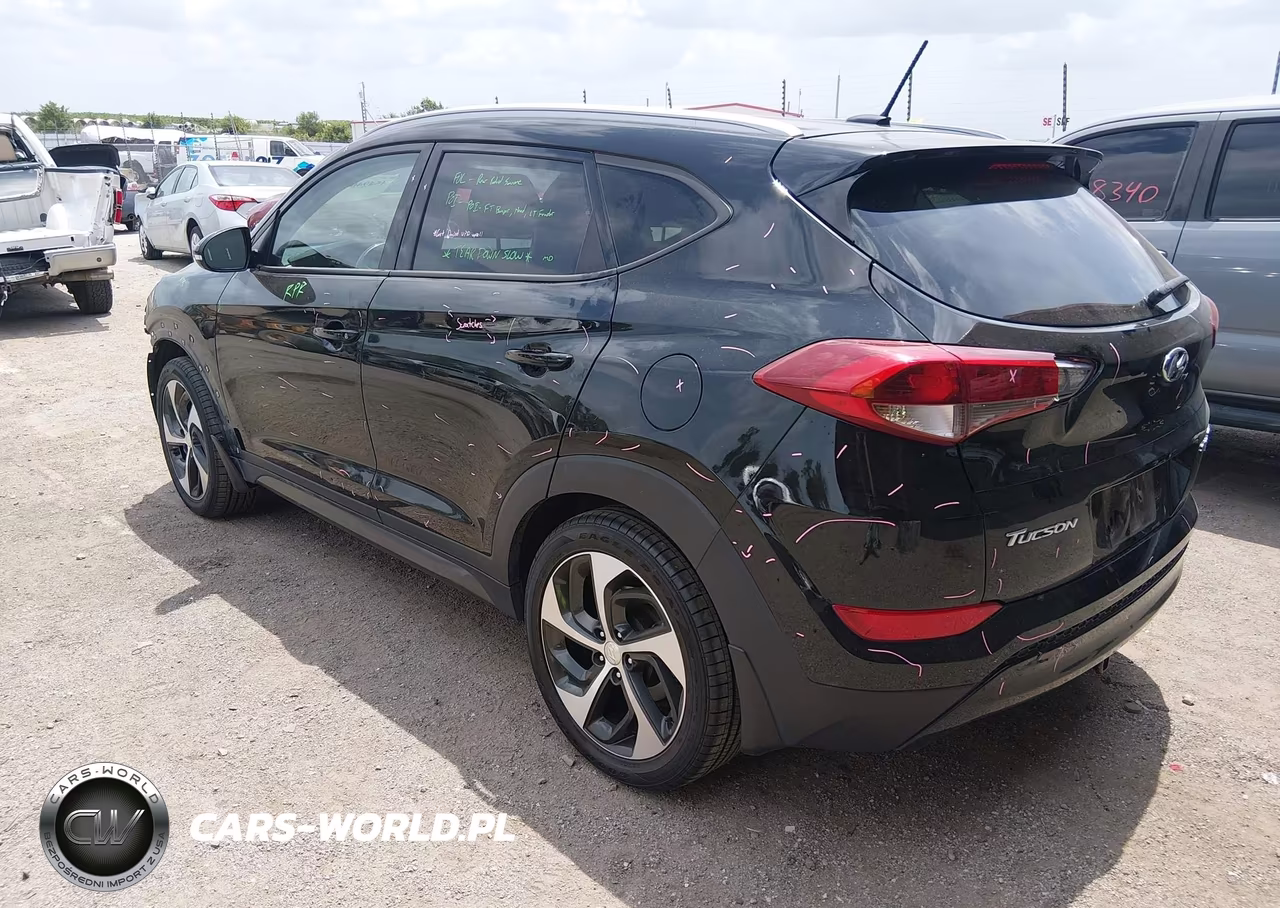 2016 Hyundai Tucson Sport VIN:KM8J3CA25GU161262 - 3