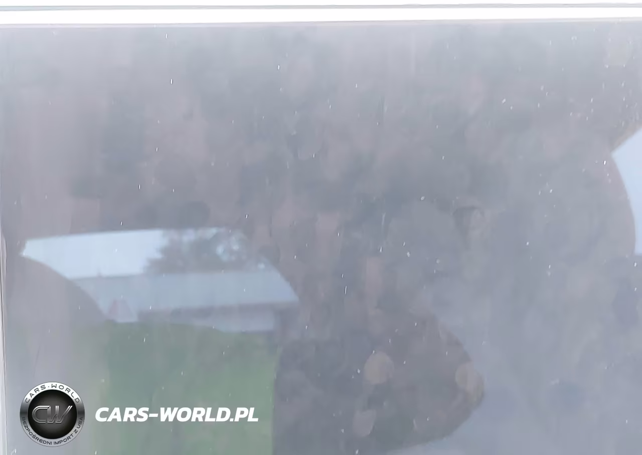 2021 Tesla Model S Long Range Dual Motor All-Wheel Drive VIN:5YJSA1E53MF451690 - 15