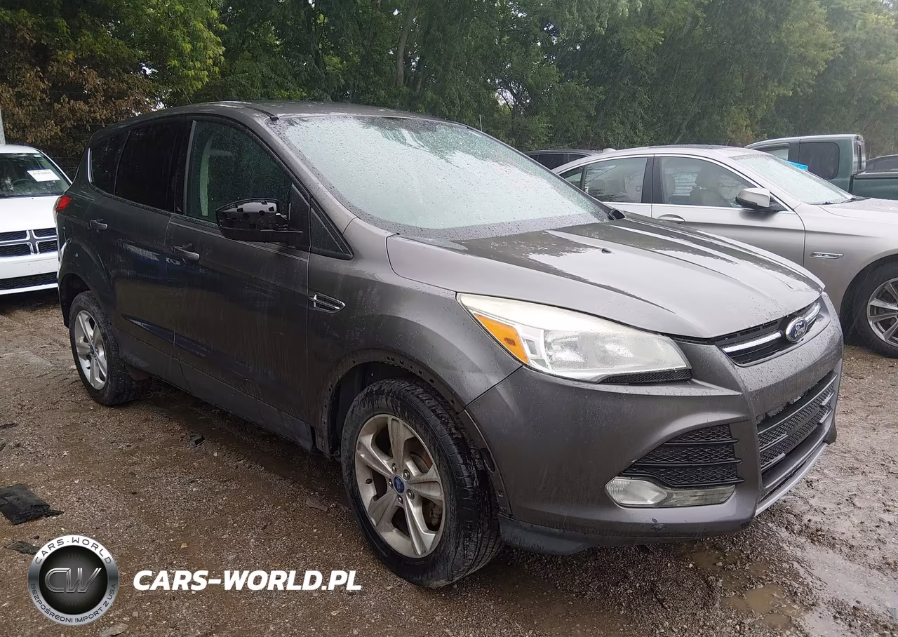 2013 Ford Escape Se