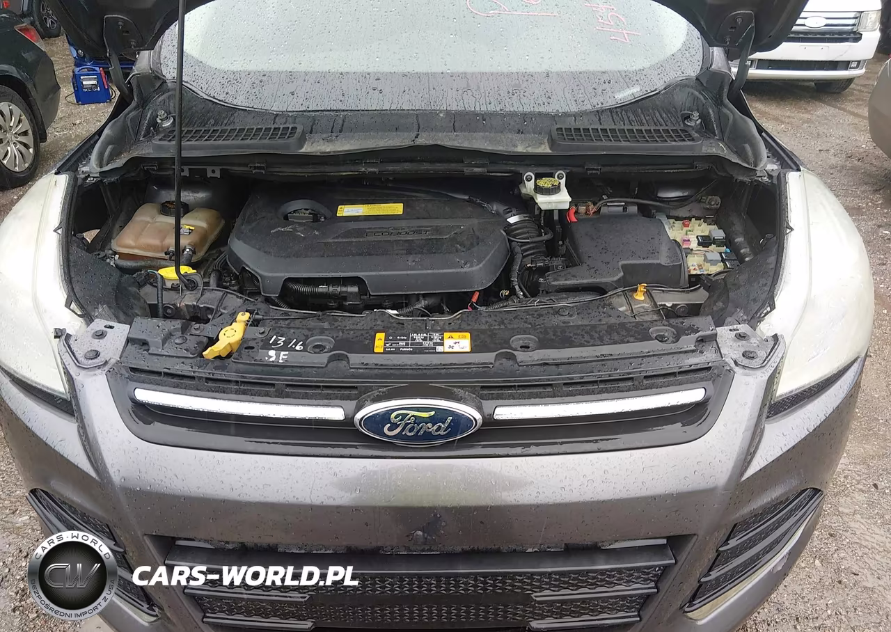 2013 Ford Escape Se VIN:1FMCU0GX9DUC92861 - 10