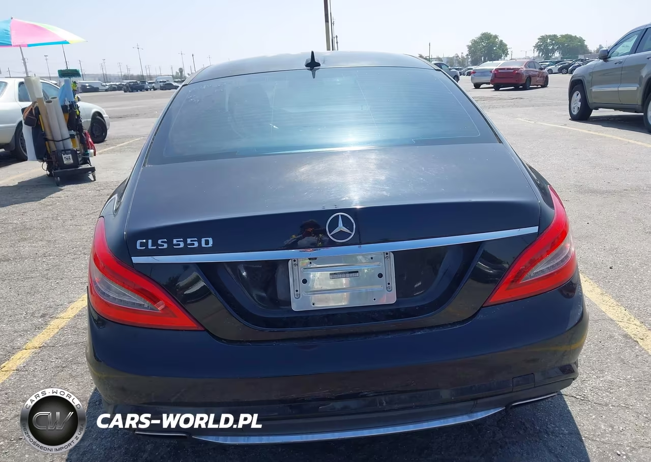 2014 Mercedes-Benz Cls 550 VIN:WDDLJ7DB0EA082804 - 17