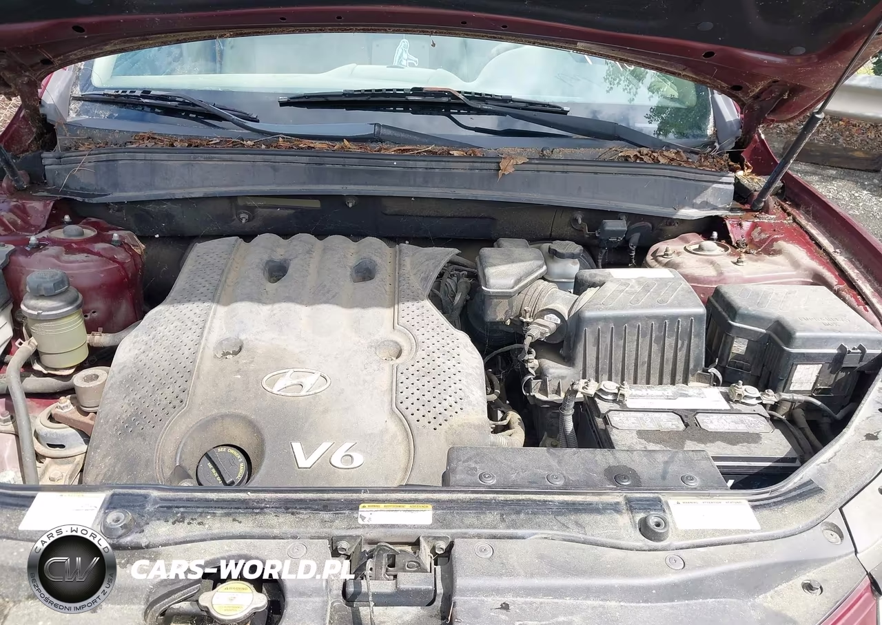2007 Hyundai Santa Fe Gls VIN:5NMSG13D17H094473 - 10