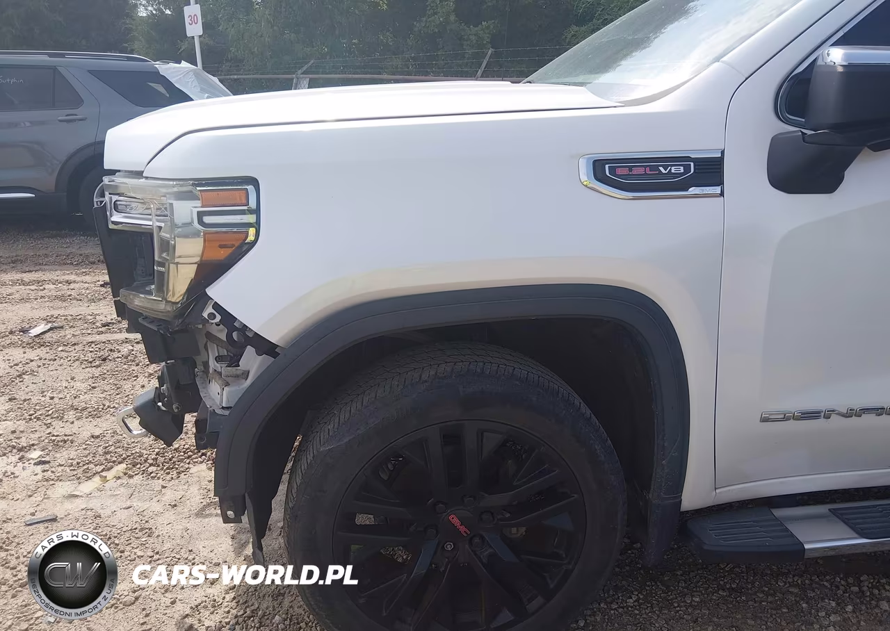 2020 GMC Sierra 1500 Denali VIN:1GTU9FEL2LZ166971 - 18