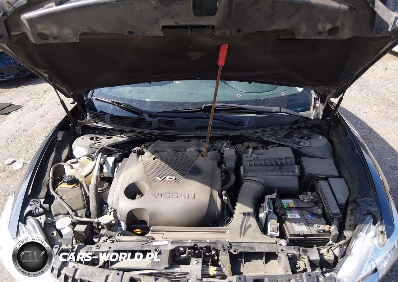 2016 Nissan Maxima 3.5 Sv VIN:1N4AA6AP6GC439394 - 10