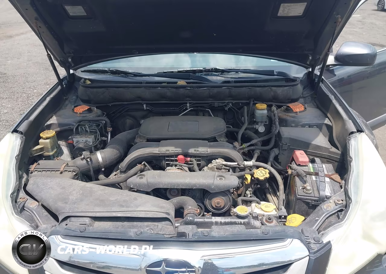 2010 Subaru Outback 2.5I Premium VIN:4S4BRBGC2A3366113 - 10