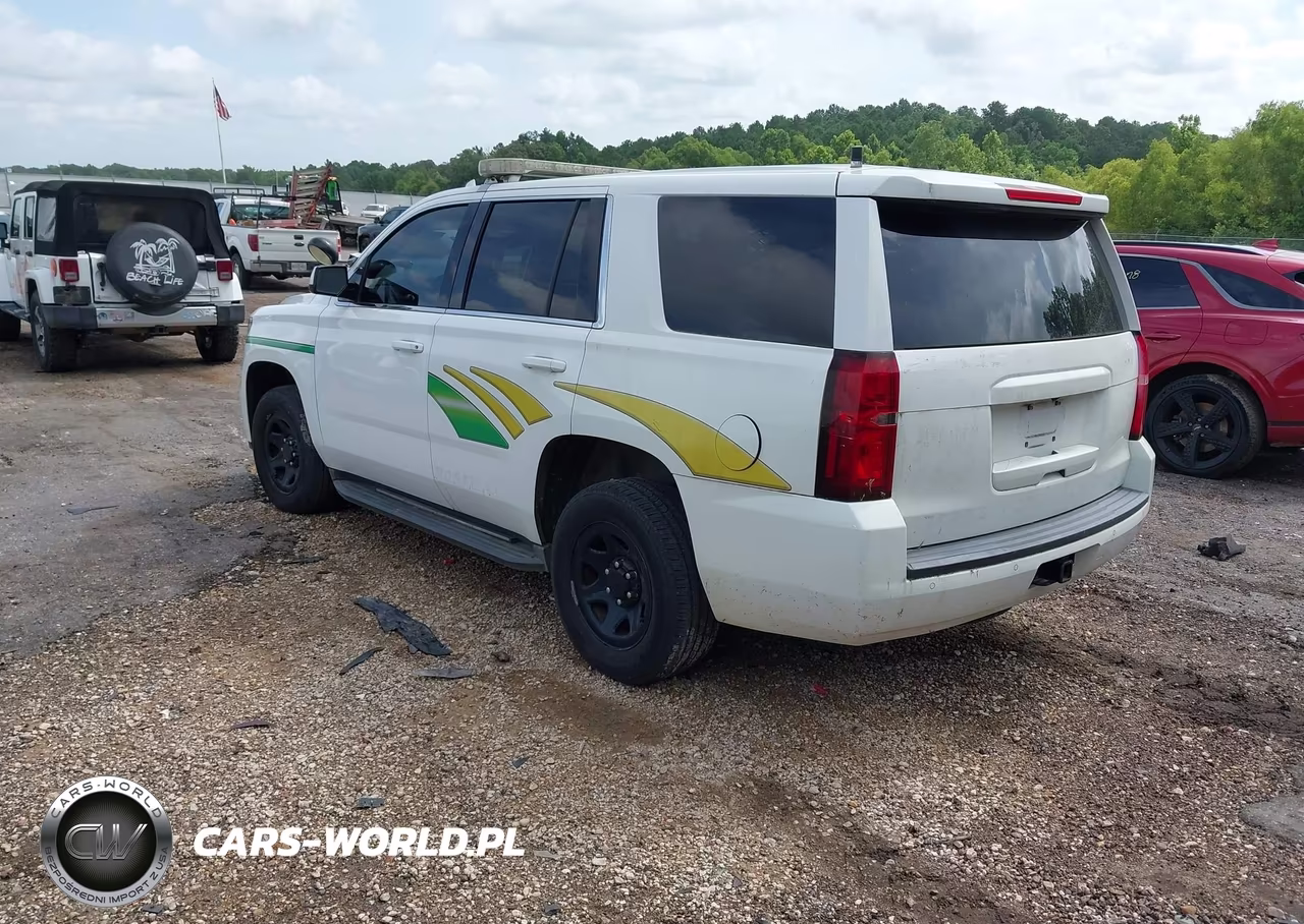 2016 Chevrolet Tahoe Commercial VIN:1GNLCDEC0GR399925 - 3