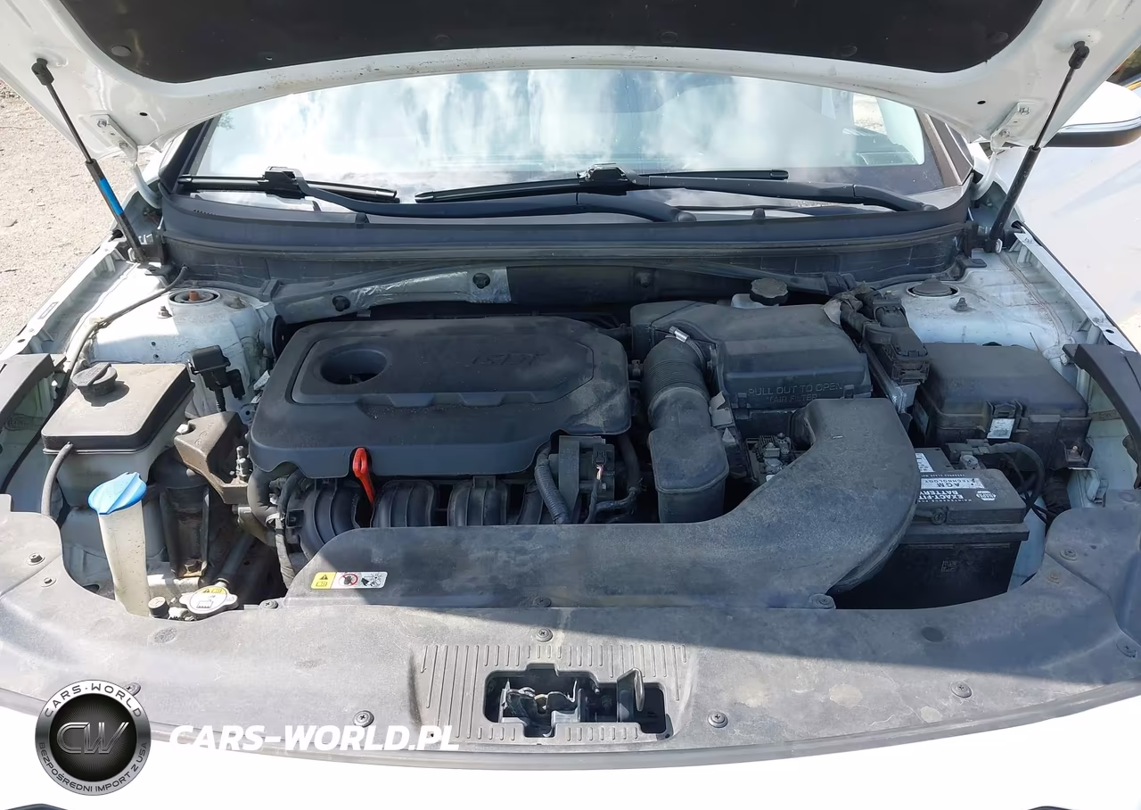 2016 Hyundai Sonata Sport VIN:5NPE34AFXGH300827 - 10