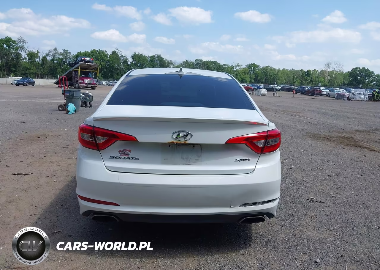 2016 Hyundai Sonata Sport VIN:5NPE34AFXGH300827 - 16