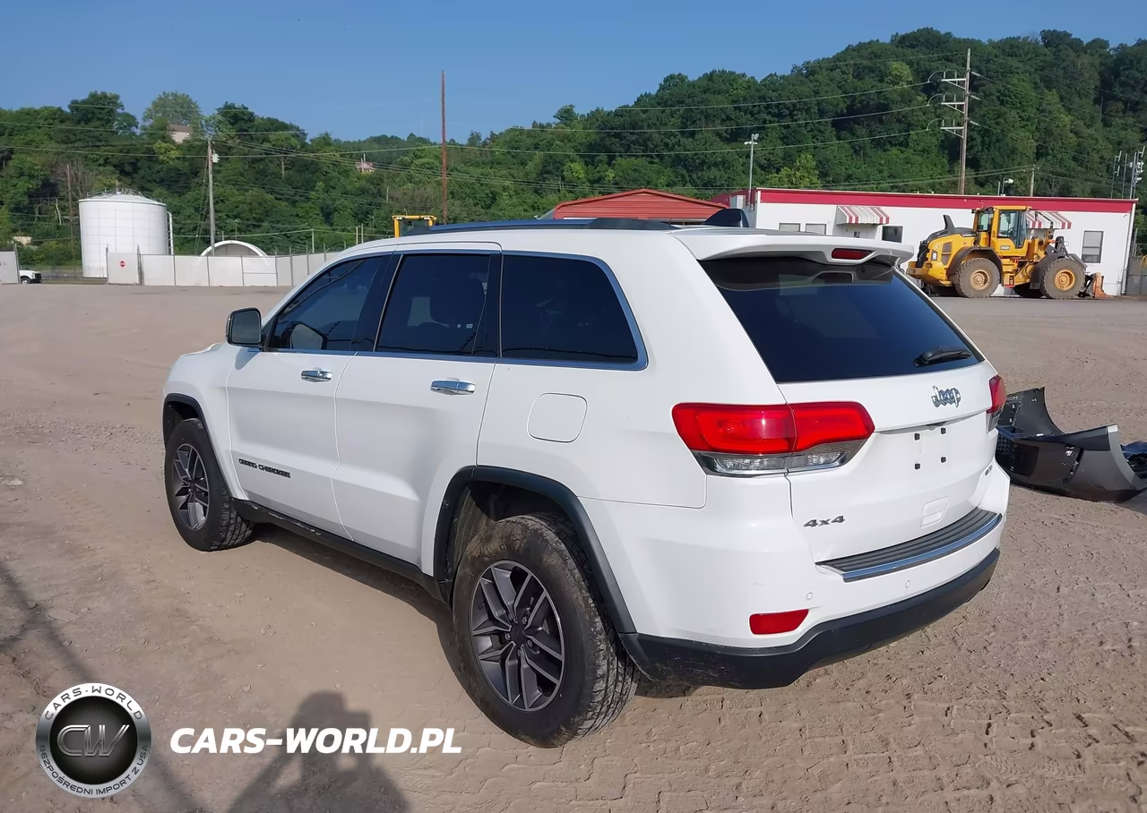 2019 Jeep Grand Cherokee Limited 4X4 VIN:1C4RJFBG8KC613986 - 3