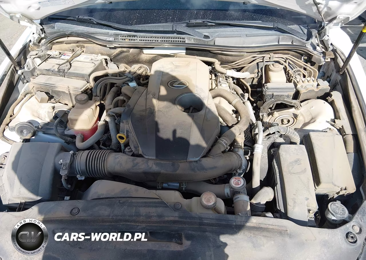 2019 Lexus Is 300 VIN:JTHBA1D21K5098449 - 10
