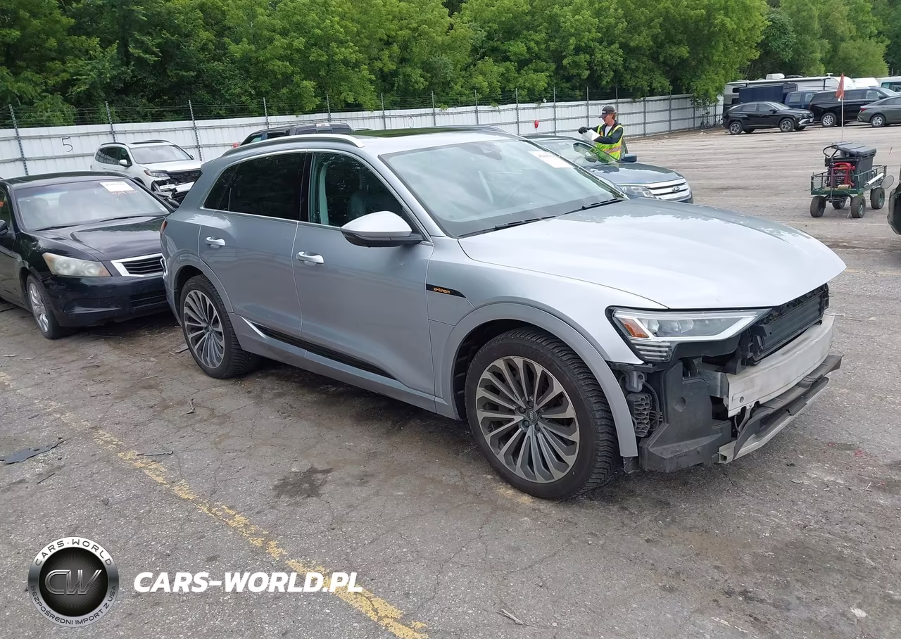 2019 Audi E-Tron Premium Plus – zdjęcie 1 z 18